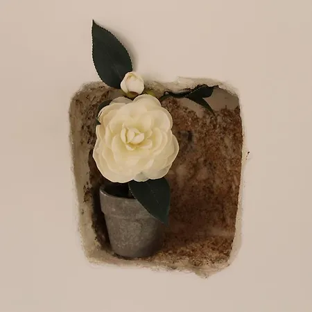 Nino Moro Bed & Breakfast Casarano